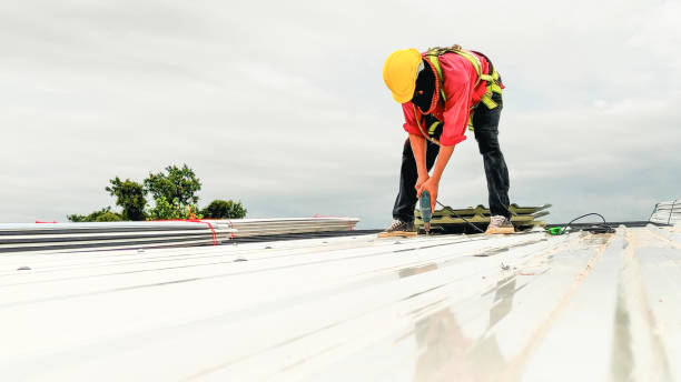 Best Storm Damage Roof Repair  in New Baltimore, MI