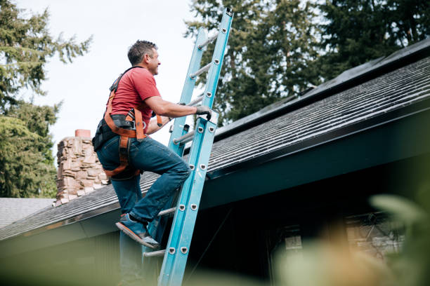 Best 4 Ply Roofing  in New Baltimore, MI